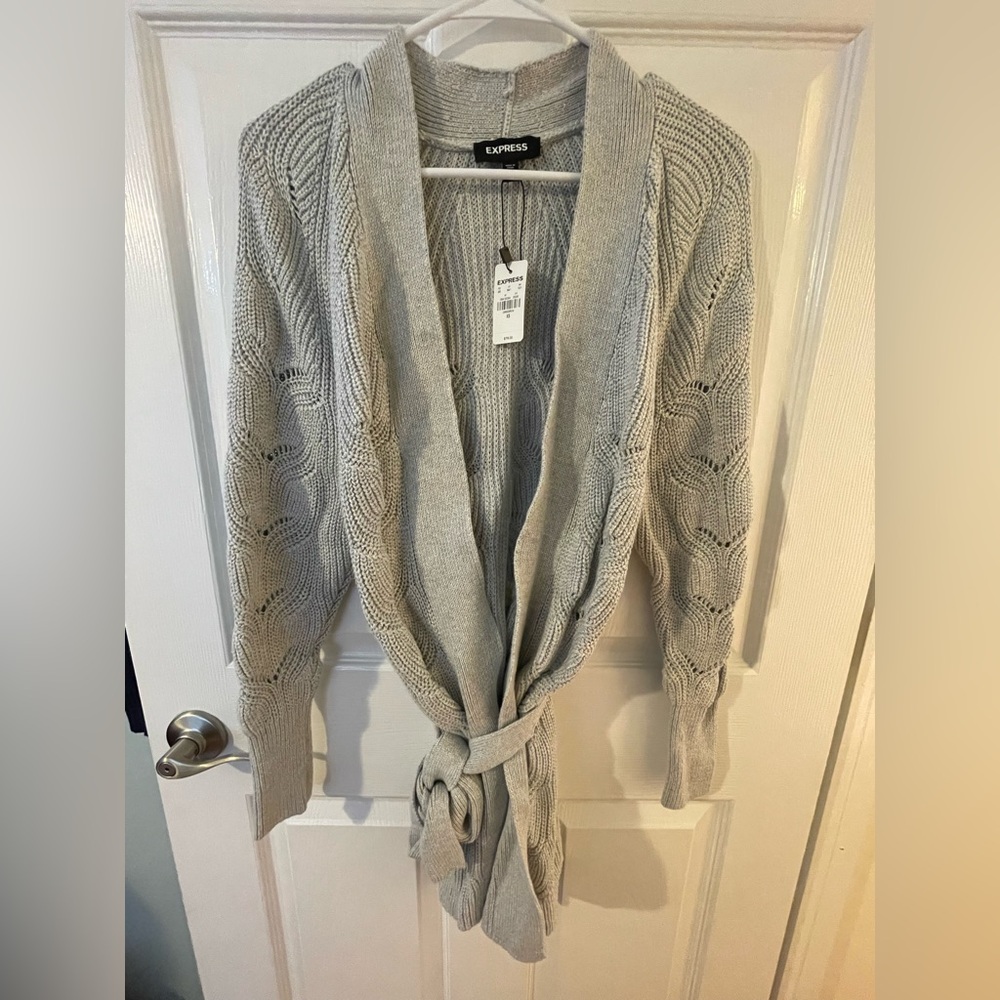 Express Sweater NWT